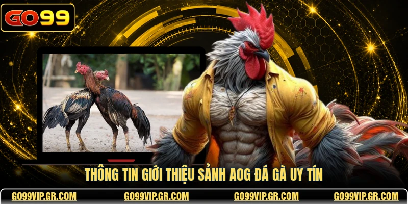 Thông tin giới thiệu sảnh AOG đá gà uy tín